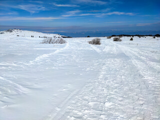 Fototapeta na wymiar Winter landscape near Platoto area at Vitosha Mountain, Bulgaria