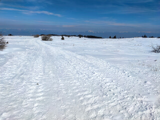 Obraz premium Winter landscape near Platoto area at Vitosha Mountain, Bulgaria