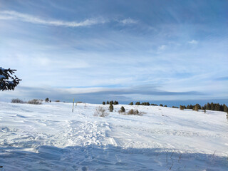 Obraz na płótnie Canvas Winter landscape near Platoto area at Vitosha Mountain, Bulgaria