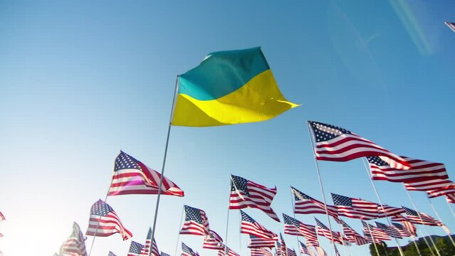 National Ukrainian flag surrounded by US flags visualizing support and freedom. Flag of Ukraine waving in wind with many American flags on motion circling background on blue clear sky with sun flare