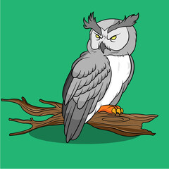 Owl on a Branch