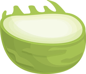 Half kohlrabi icon cartoon vector. Healthy food. Organic turnip