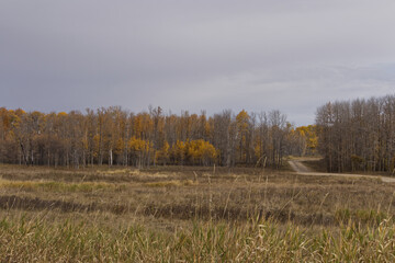 Elk Island National Park on a Cloudy Autumn Day