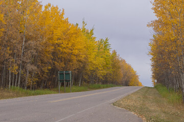 Elk Island National Park on a Cloudy Autumn Day