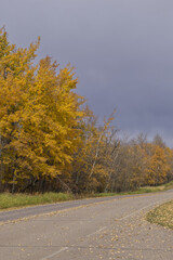 Elk Island National Park on a Cloudy Autumn Day