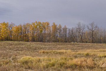 Elk Island National Park on a Cloudy Autumn Day