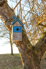 Birdhouse on a tree in a sunny spring park.House for birds. Bird care