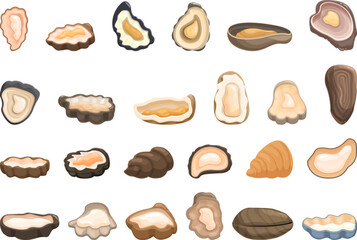 Oysters icons set cartoon vector. Seafood shell. Fresh raw