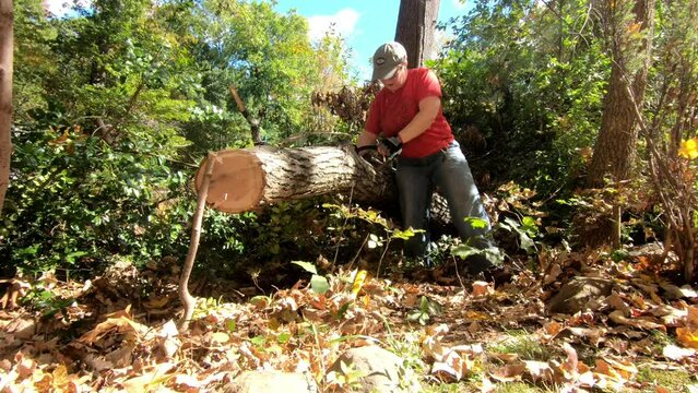 woman sawing dead branch from fallen tree in autumn