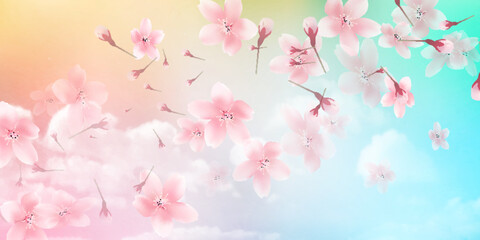 桜　春　カラフル　背景