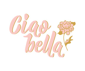 Ciao bella. Lettering. Translation from Italian - Hello beautiful. Modern vector brush calligraphy. Ink illustration © anngirna