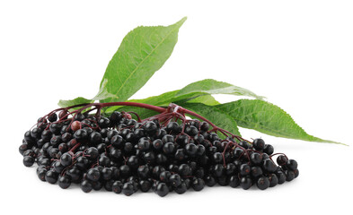 Bunch of ripe elderberries and green leaves isolated on white