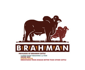 BRAHMAN CATTLE LOGO, silhouette of big bull standing vector illustrations