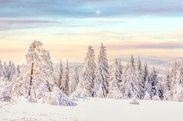 Fototapeta premium Winterlandschaft im Harz, Deutschland 