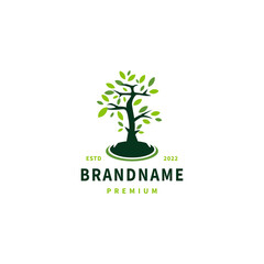 Obraz premium tree is growing vector logo design illustration