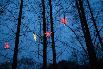 Illuminated yellow and red stars hanging on trees at dusk in a park - 564099493