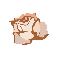brown rose design