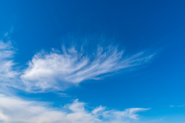 寒空
