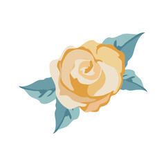 colored rose design