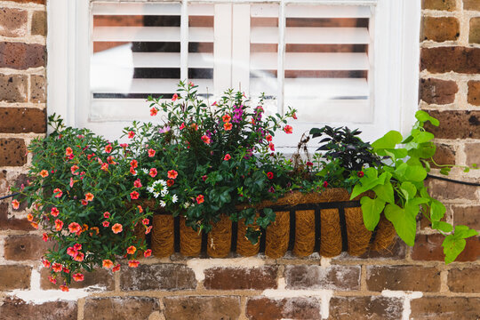 a colorful planter box outside a window with white plantation shutters