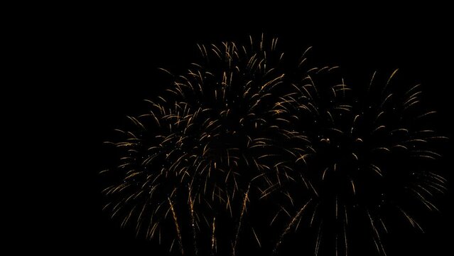 Colorful bright fireworks in dark sky at night. Evening time, low light. Anniversary, celebration, pyrotechnic, entertainment, abstract and holiday concept