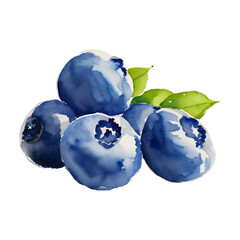 blueberry digital drawing with watercolor style illustration