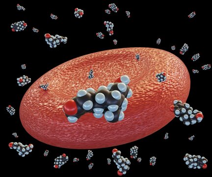 Steroid molecules in the blood vessel with red blood cells 3d rendering