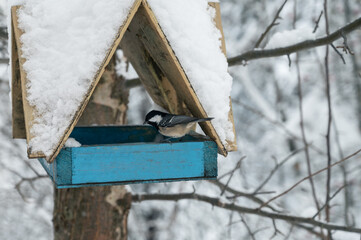 Snow covered wooden bird feeder and bird in the winter forest