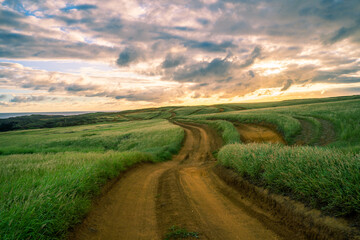 Unpaved Road to Mahana Green Sand Beach in Big Island