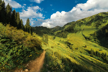 Summer trail in the Kimasar gorge with a view of Mount Furmanov. Popular weekend hiking route in Almaty mountains.