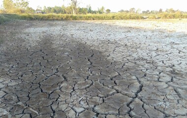 dry cracked earth