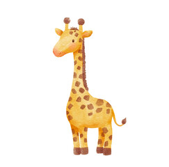 Cute giraffe in cartoon style. Watercolor Drawing african baby wild animal isolated on white background. Jungle safari animal © Elena