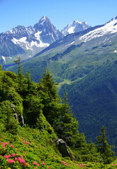 Summer mountain landscape. Mount Aiguille du Chardonnet and Aiguille d'Argentiere, Nature Reserve Aiguilles Rouges, Graian Alps, France, Europe.