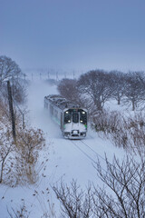 Naklejka premium 吹雪の中のローカル線列車