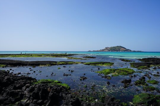 Rock Beach And Distant Island