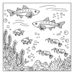 design coloring page animal fish under sea