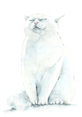 Smiling white cat. Watercolor hand drawn illustration - 564135002
