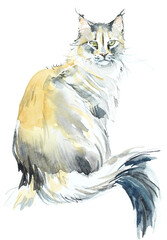 Street cat. Watercolor hand drawn illustration - 564135039