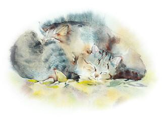 Sleeping domestic cat. Watercolor hand drawn illustration - 564135057