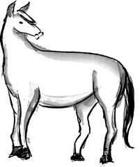 Watercolor Chinese ink paint art Chinese zodiac sign horse