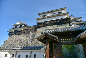 Fototapeta premium 松山城の美しい風景