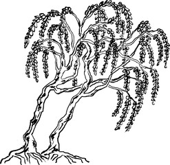 Obraz premium Watercolor Chinese ink paint art plant tree