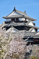 松山城に咲く満開の桜