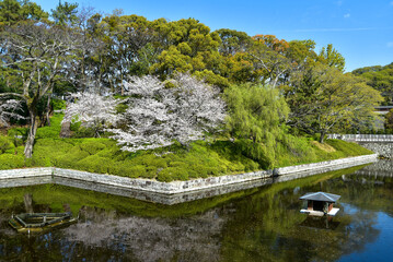 松山城に咲く満開の桜
