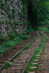 the railway in the green grass by the rock goes into the tunnel