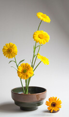 Elegant floral arrangement of yellow flowers. Beautiful bouquet on a neutral background.