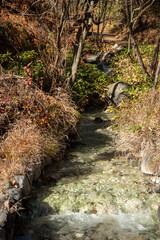 Fototapeta premium 草津温泉にある西の河原公園の美しい風景