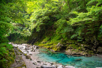 日本の原風景を思わせるとても美しい四国山地の風景