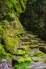 日本の原風景を思わせるとても美しい四国山地の風景