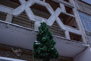 New Year's artificial tree, above the entrance to the entrance of a residential building.
